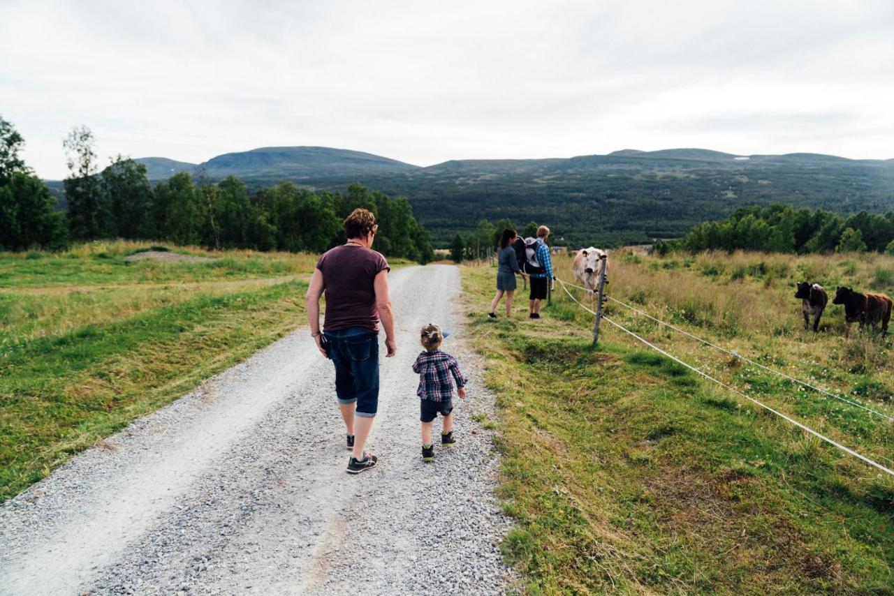 Funaes Ski Lodge Funäsdalen Zewnętrze zdjęcie